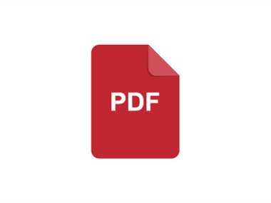 PDF icon in red with border.jpg 1